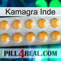 Kamagra India levitra1